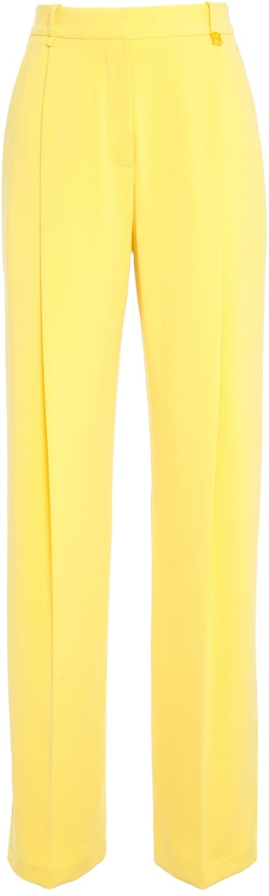 Elisabetta Franchi Pleated pants Geel