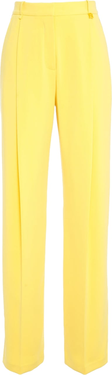 Elisabetta Franchi Pleated pants Geel