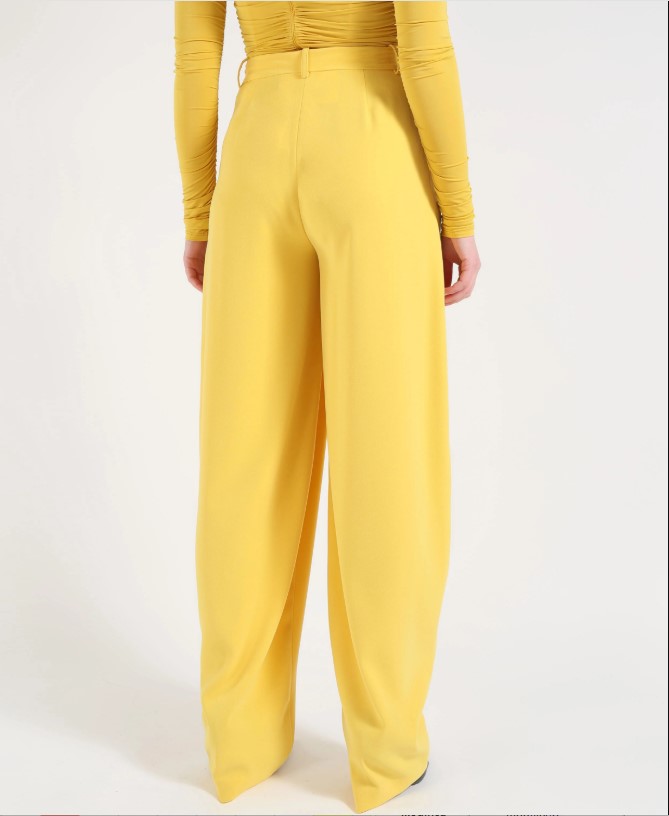 Elisabetta Franchi Lightweight Crepe Tailored Trousers Goud