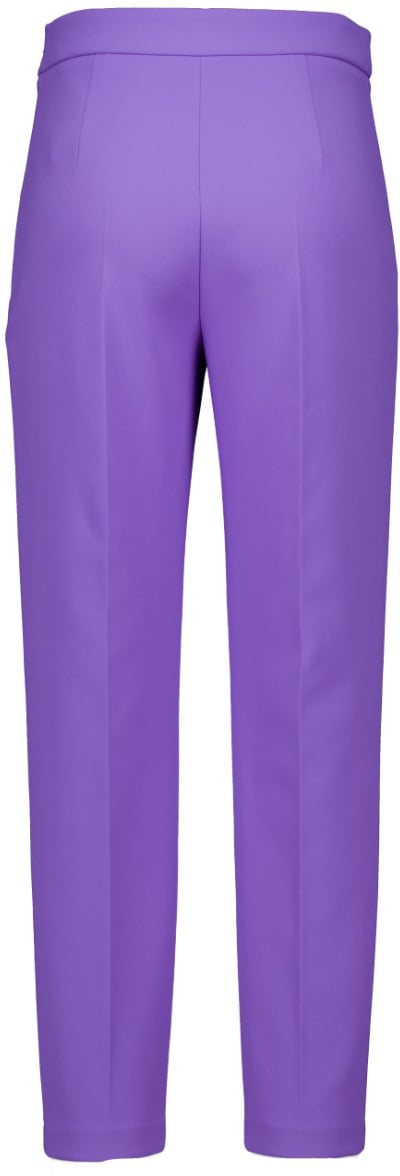 Elisabetta Franchi Elisabetta Franchi  Pantalons Paars Pat1441e2 As6 Paars