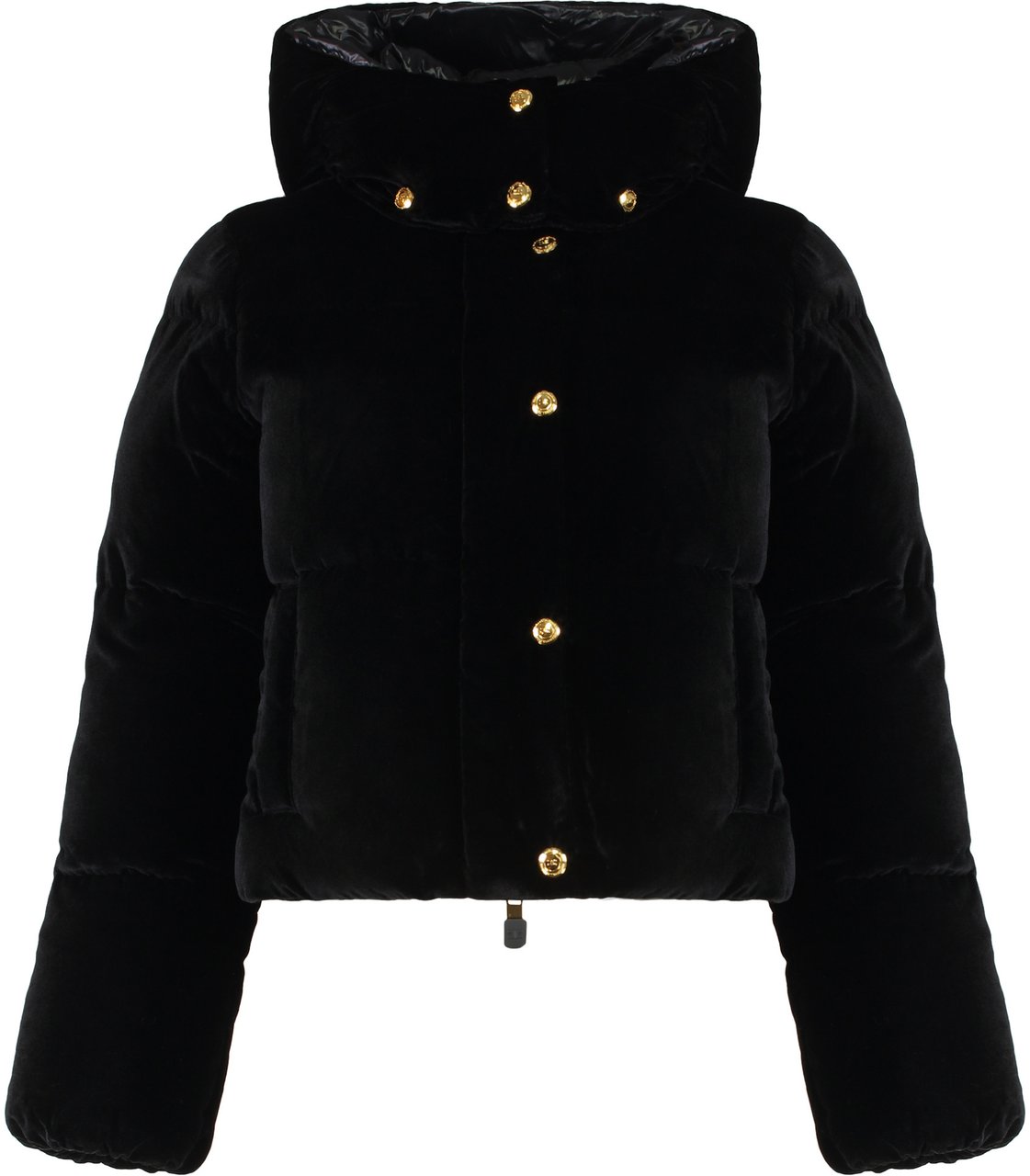 Elisabetta Franchi Puffer jacket in velvet with hood Zwart