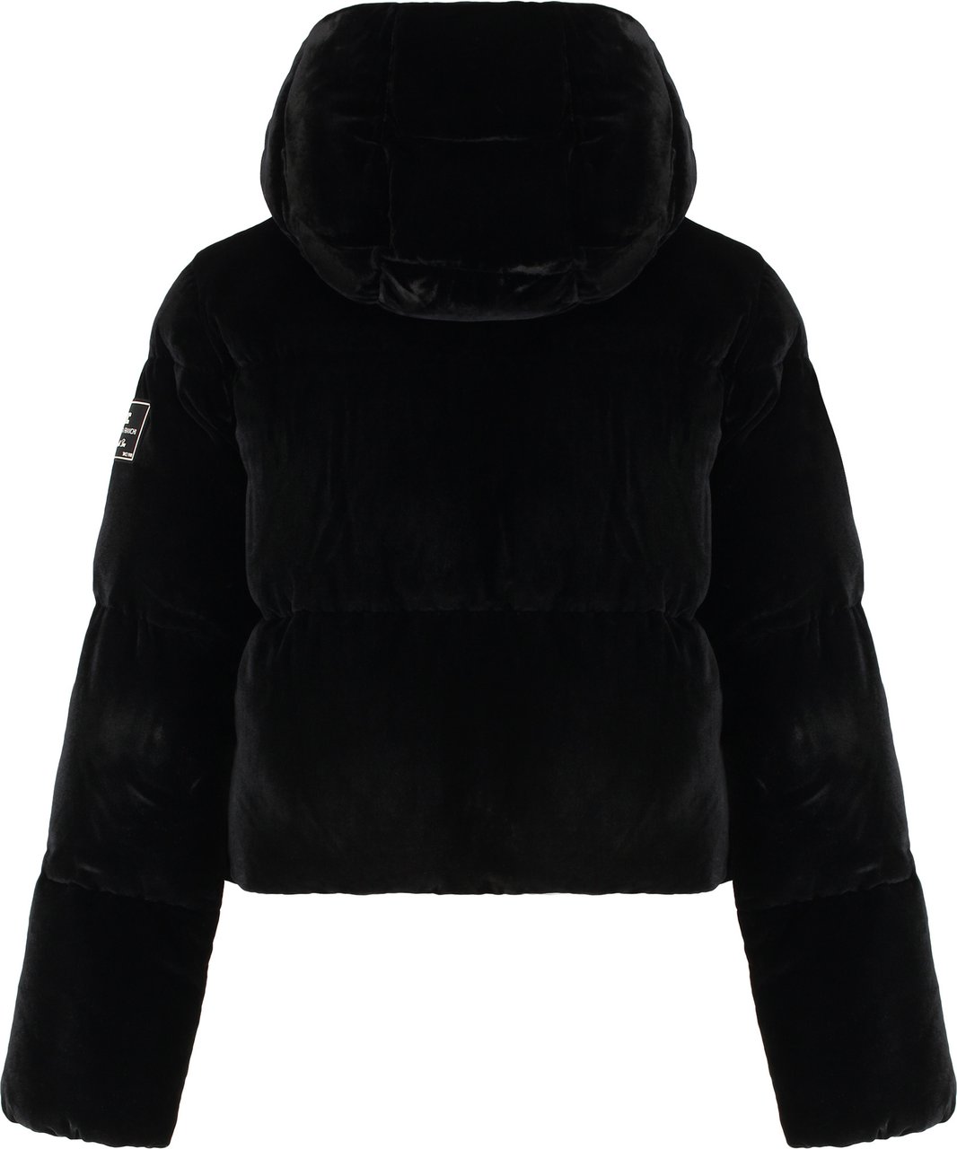 Elisabetta Franchi Puffer jacket in velvet with hood Zwart