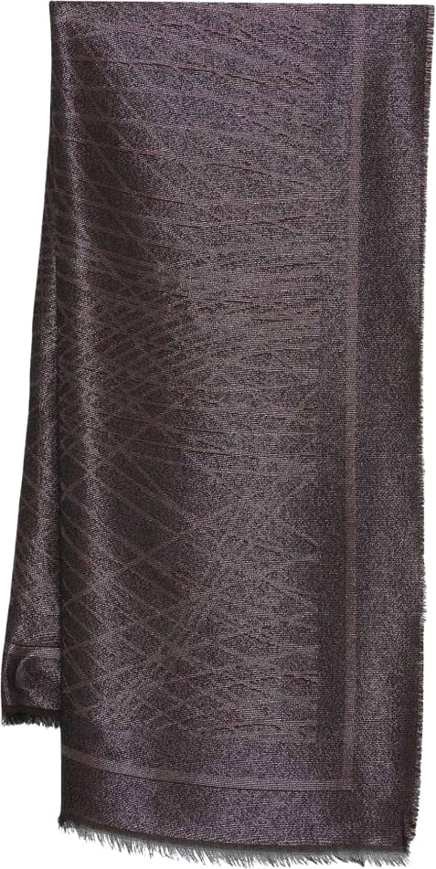 Elisabetta Franchi Scarfs Brown Bruin