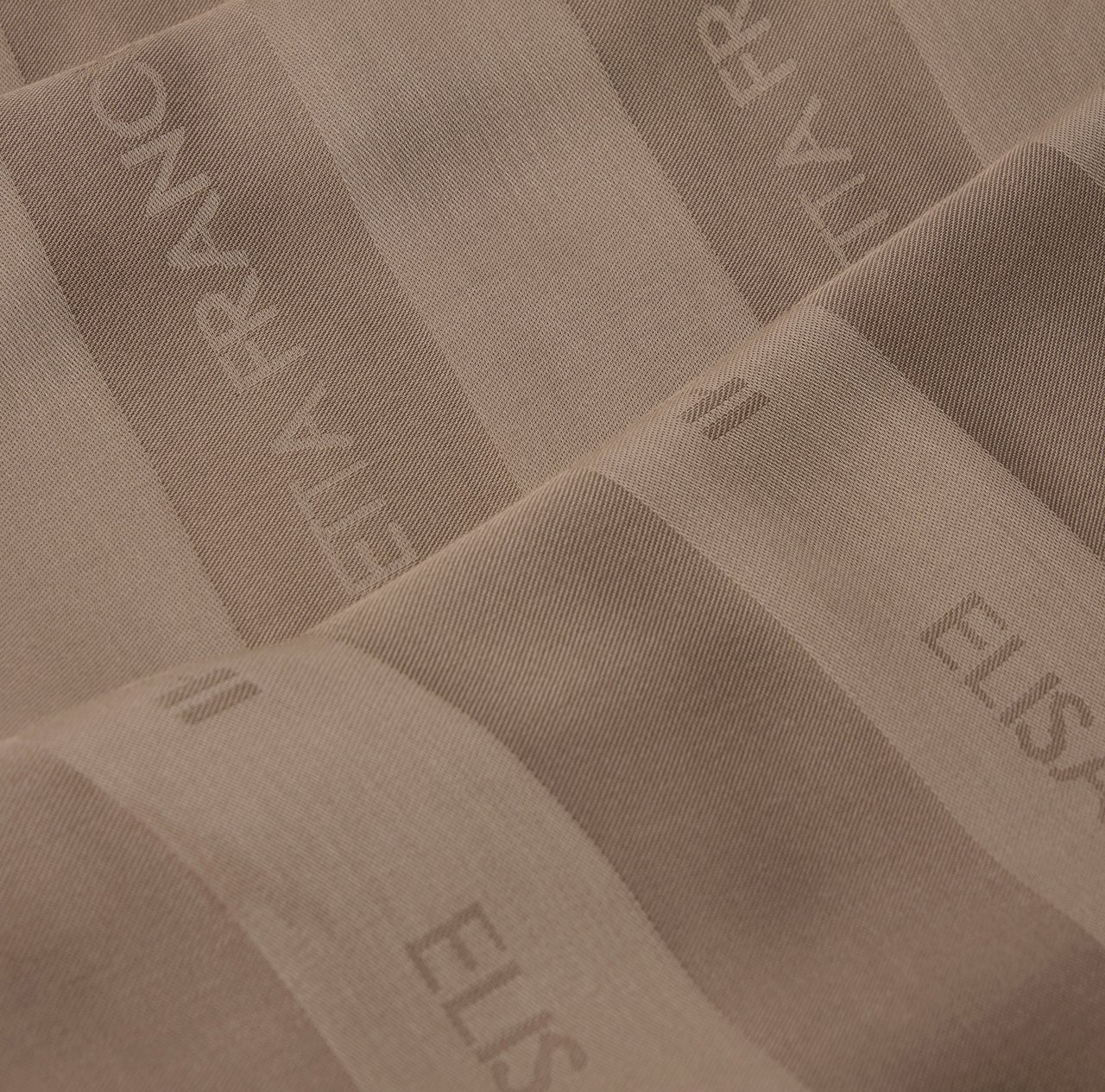 Elisabetta Franchi Scarfs Argilla Bruin