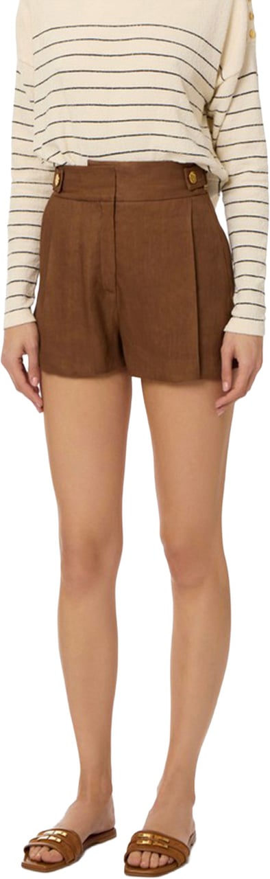 Elisabetta Franchi Trousers Brown Bruin