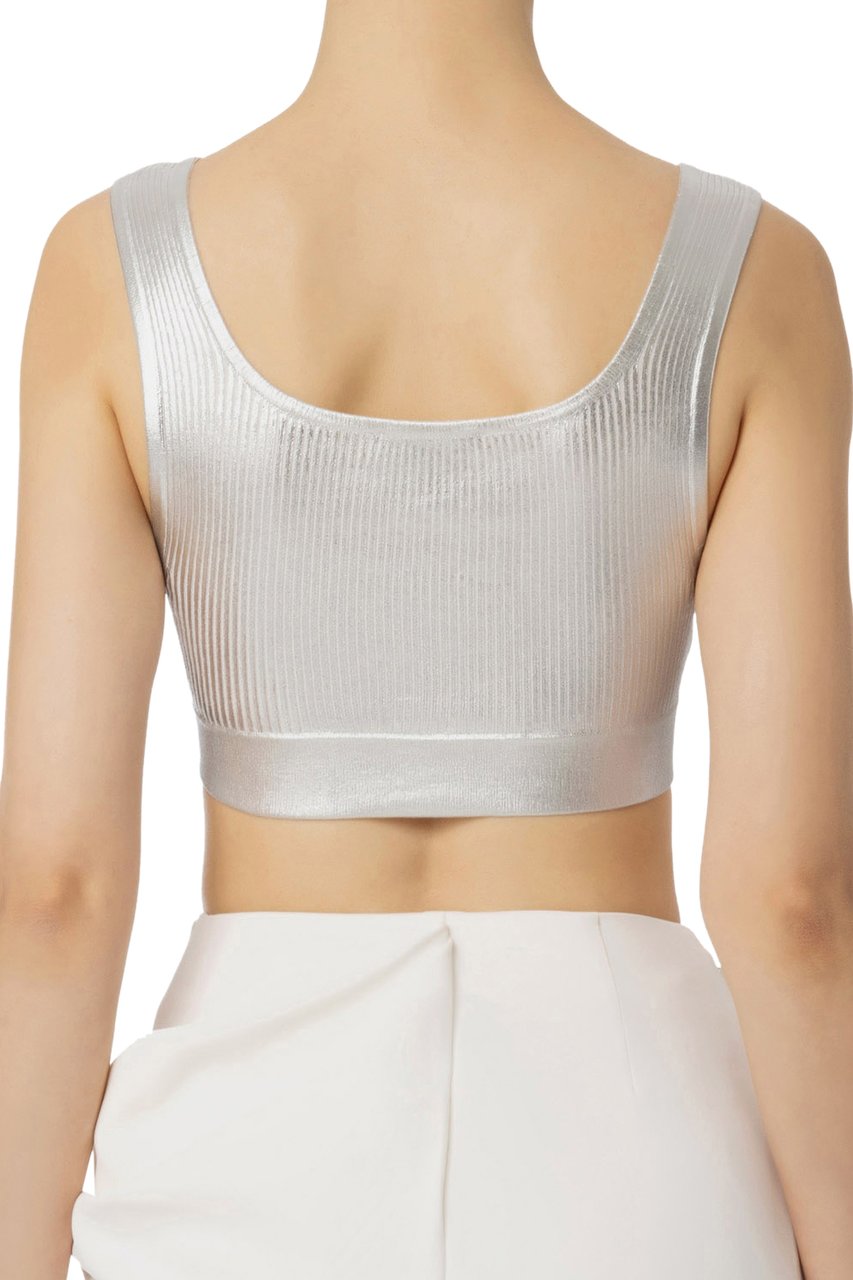 Elisabetta Franchi Top Silver Zilver