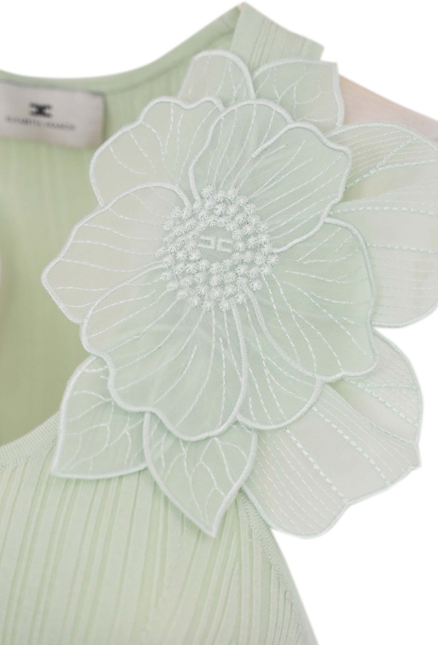 Elisabetta Franchi Top Mint Green Groen