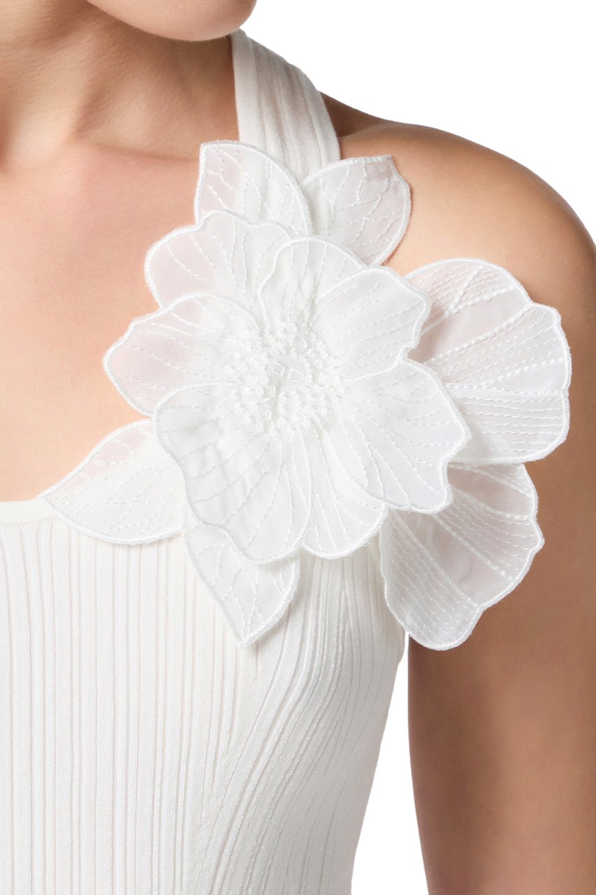 Elisabetta Franchi Top Ivory Wit