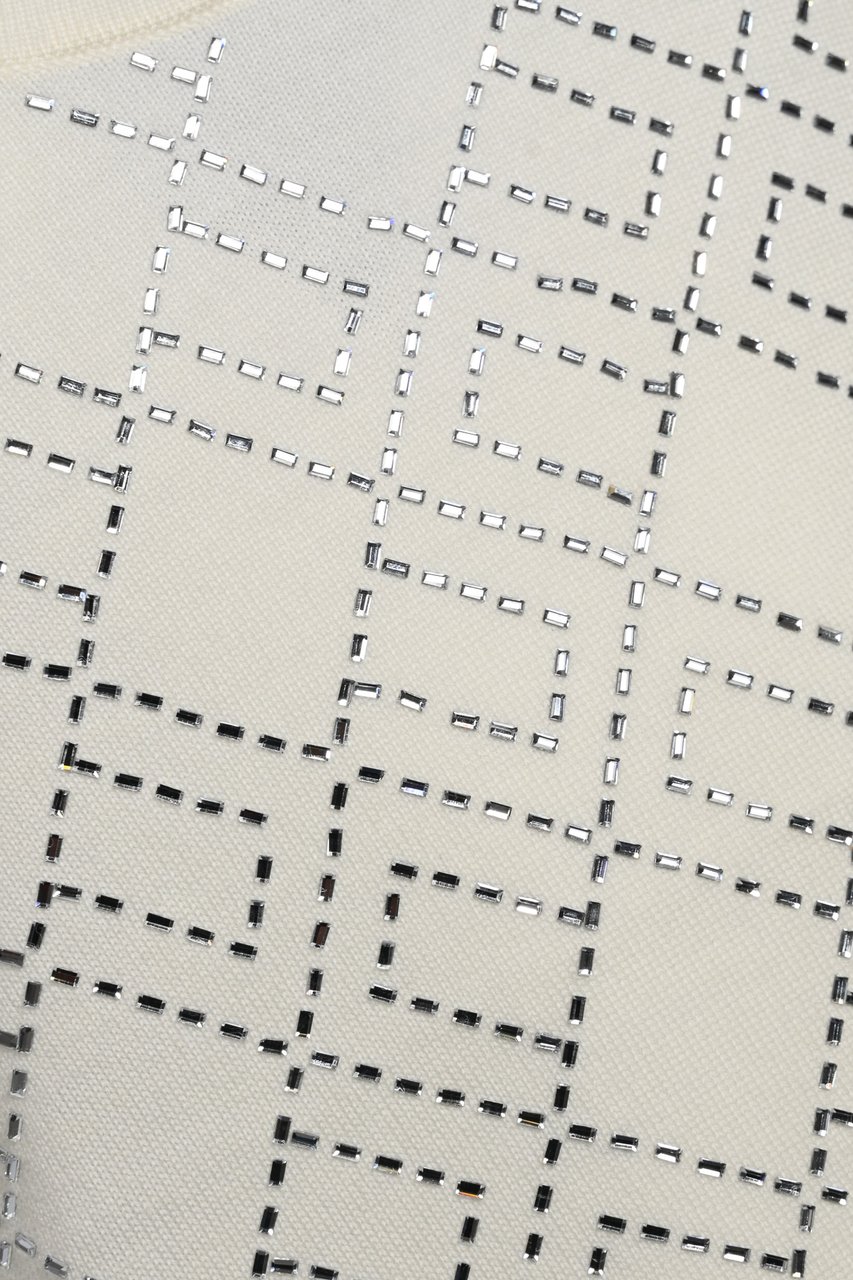 Elisabetta Franchi Top Milksilver Zilver