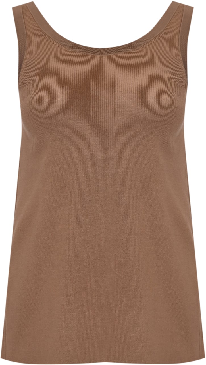 Elisabetta Franchi Top Argillaburro Beige