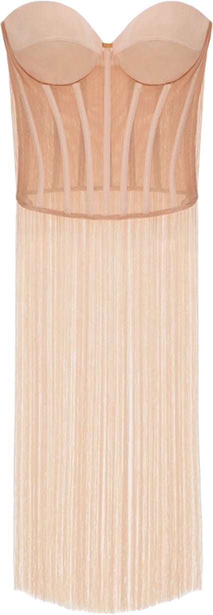 Elisabetta Franchi Top Nude Roze
