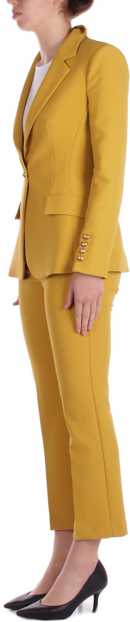 Elisabetta Franchi Dresses Curry Geel
