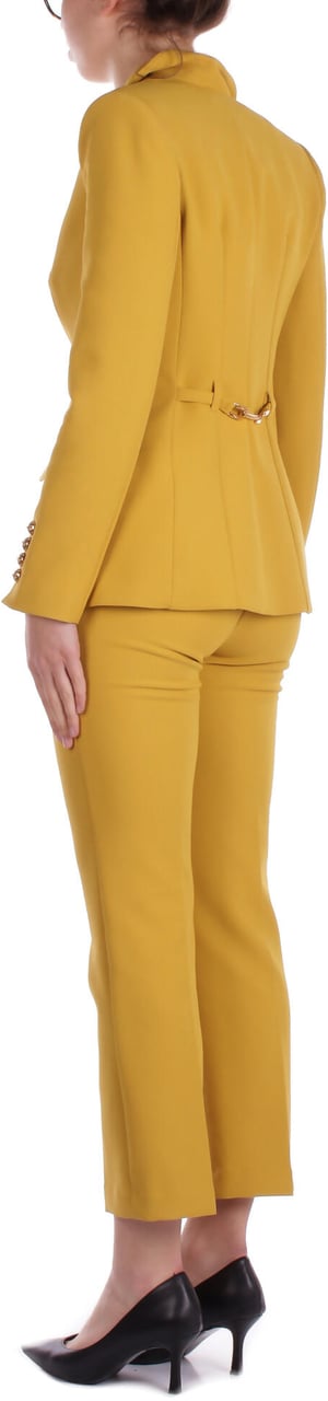 Elisabetta Franchi Dresses Curry Geel