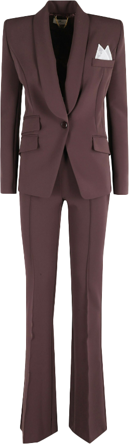 Elisabetta Franchi Dresses Merlot Rood