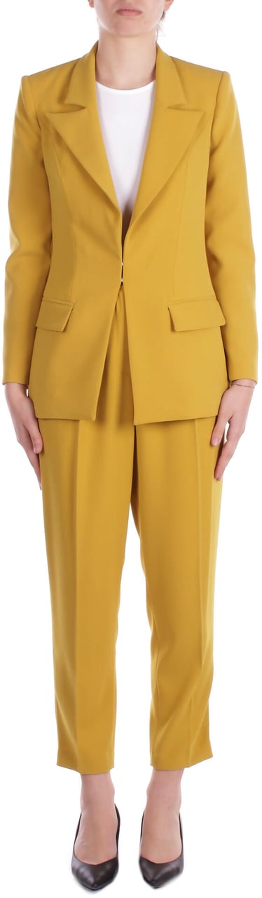 Elisabetta Franchi Dresses Curry Geel