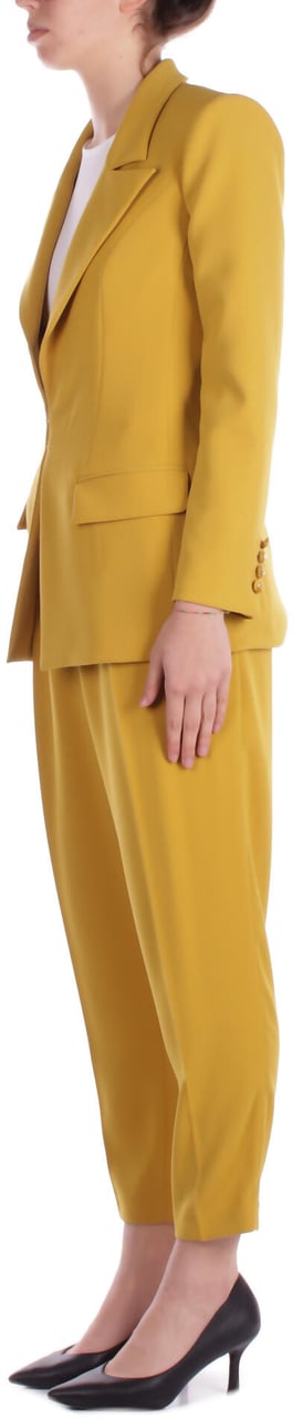 Elisabetta Franchi Dresses Curry Geel
