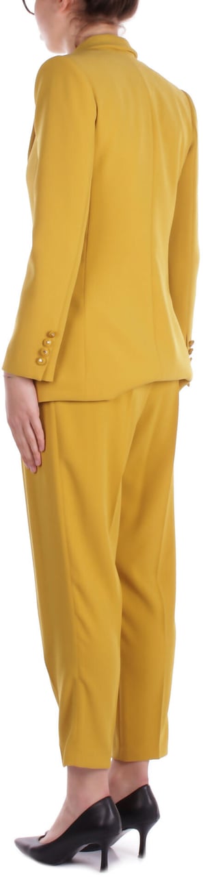 Elisabetta Franchi Dresses Curry Geel