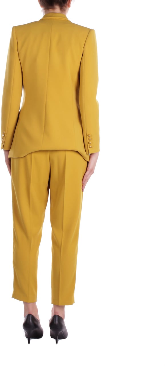 Elisabetta Franchi Dresses Curry Geel