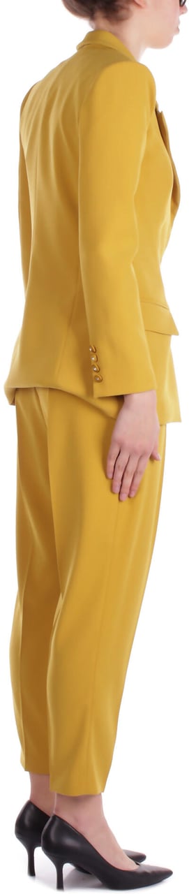 Elisabetta Franchi Dresses Curry Geel