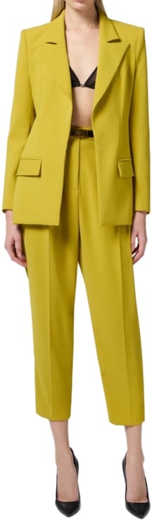 Elisabetta Franchi Dresses Yellow Geel