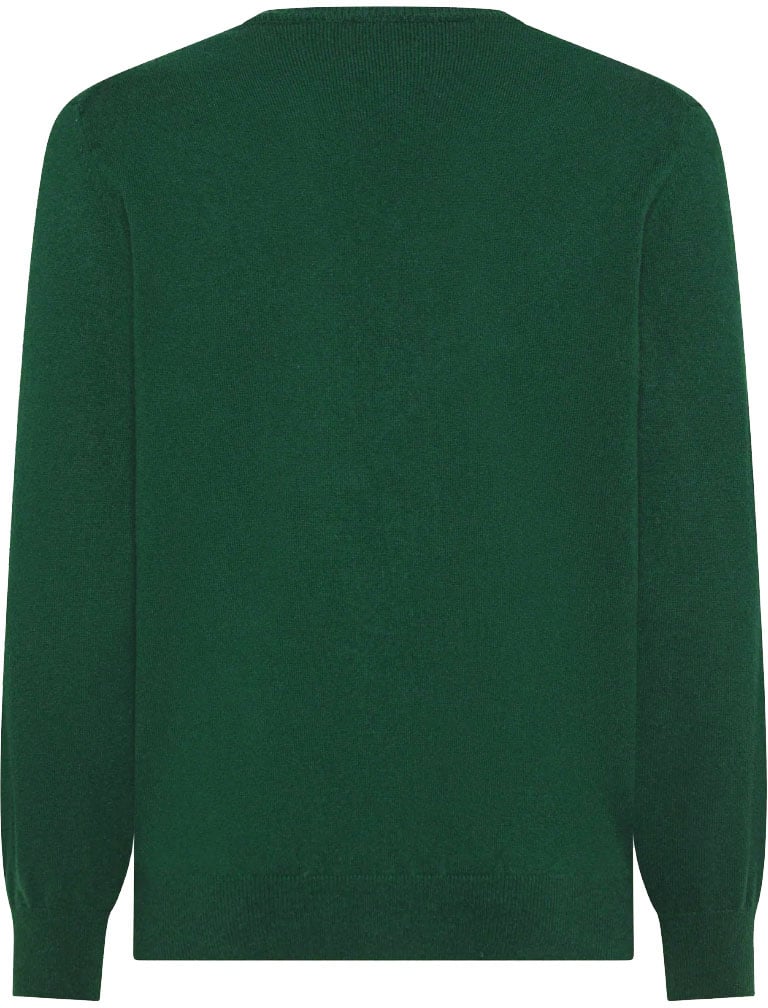 ELLI maglia scollo V finezza 12 Groen