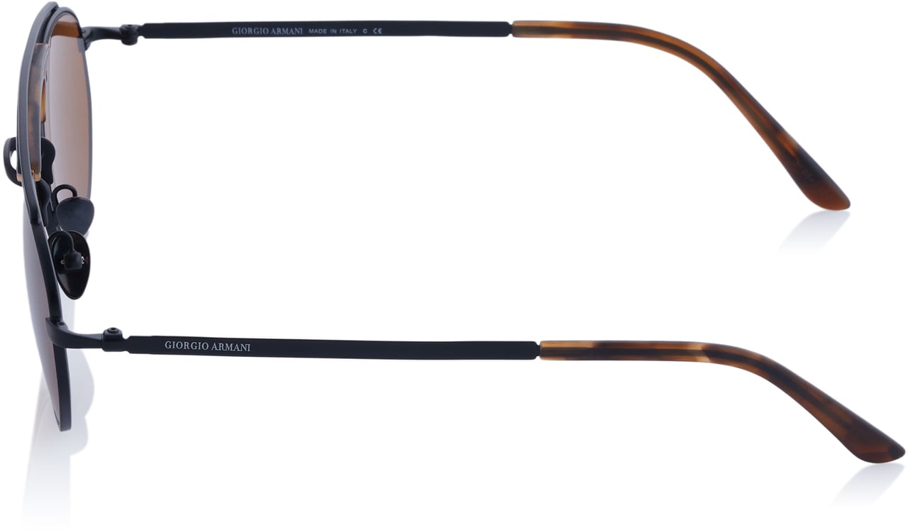 Emporio Armani Giorgio Armani Sonnenbrille Bruin