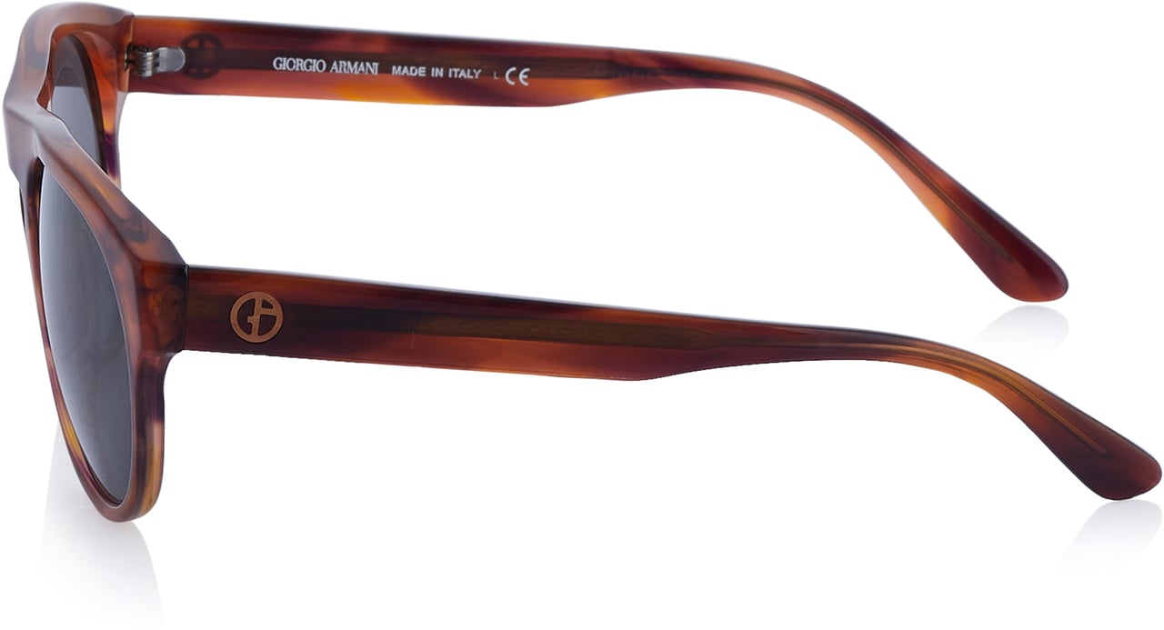 Emporio Armani Giorgio Armani Sonnenbrille Bruin