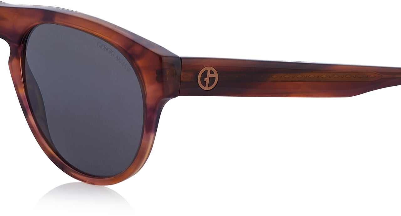 Emporio Armani Giorgio Armani Sonnenbrille Bruin