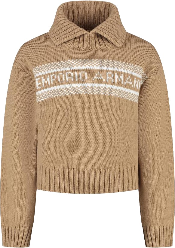 Emporio Armani Sweater Bruin