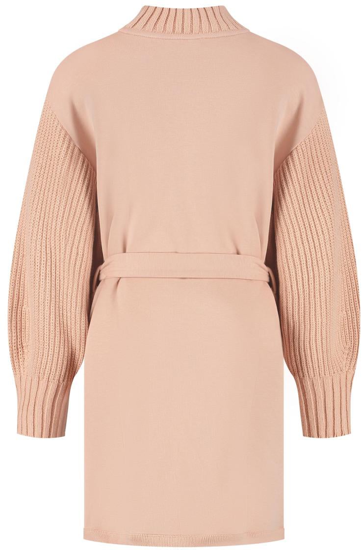 Emporio Armani Dress Roze