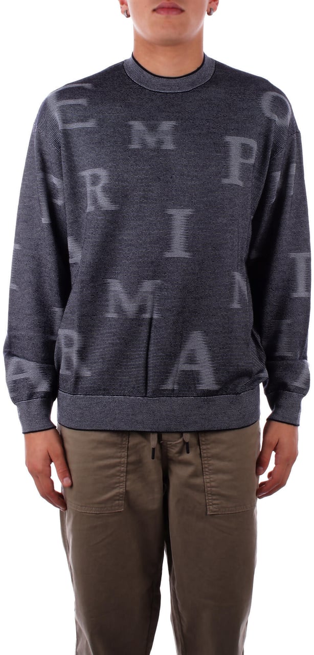 Emporio Armani Sweaters Silver Zilver
