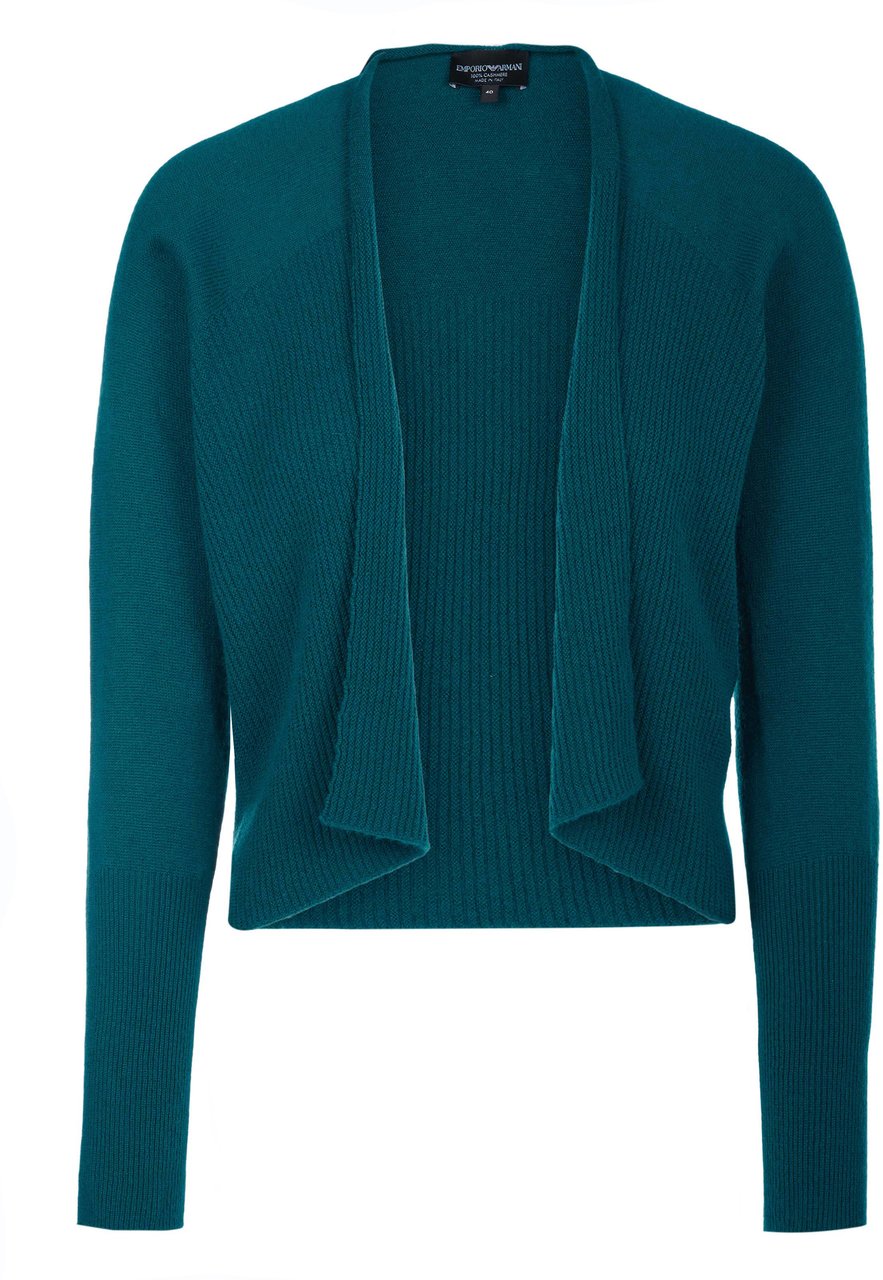 Emporio Armani Jacke Blauw