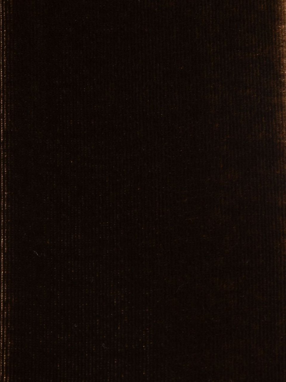 Emporio Armani Scarfs Brown Bruin