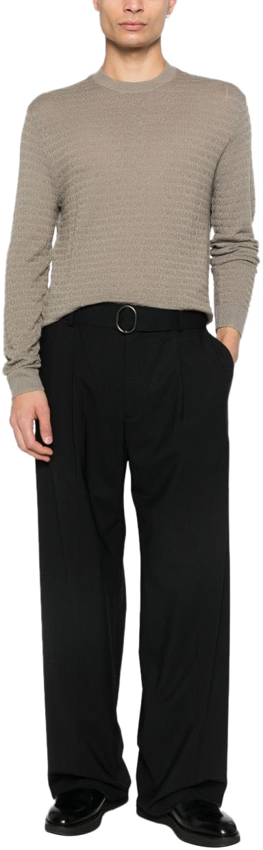 Emporio Armani Sweaters Dove Grey Grijs