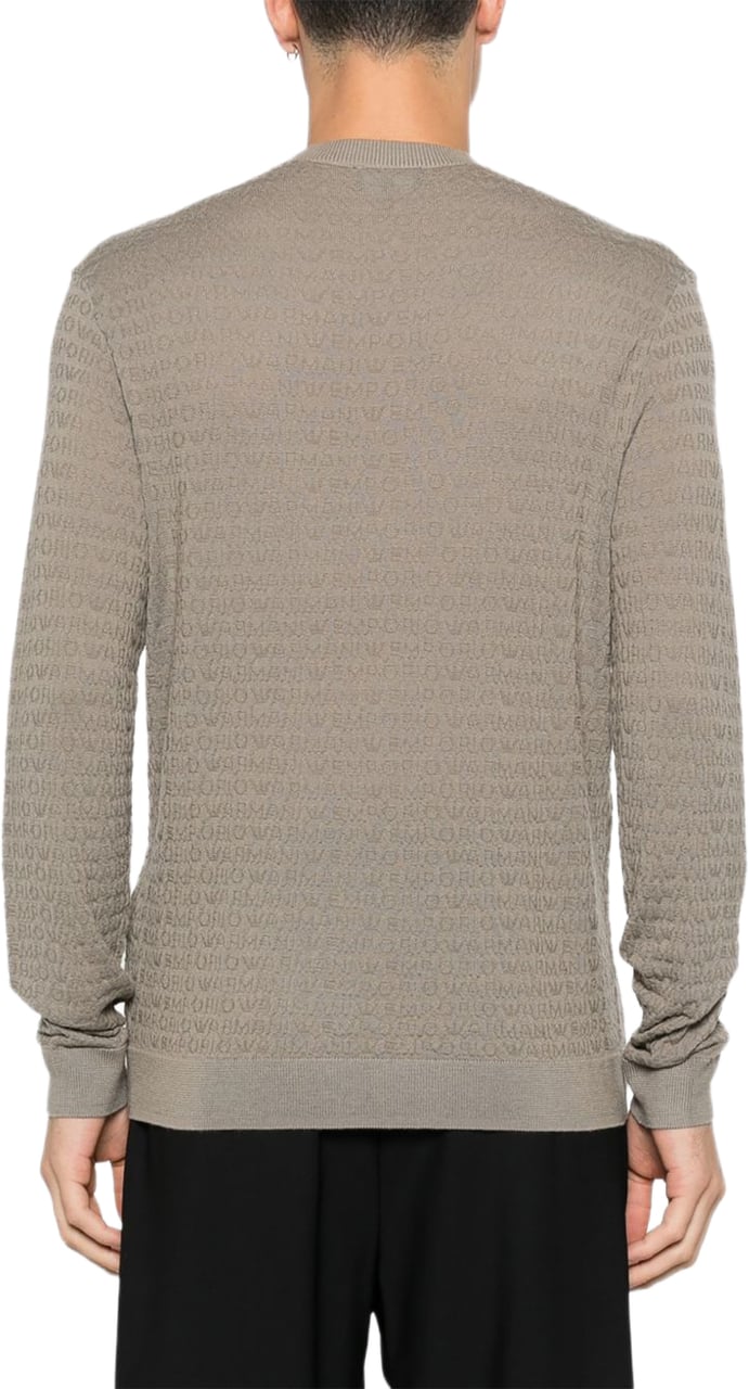 Emporio Armani Sweaters Grey Taupe