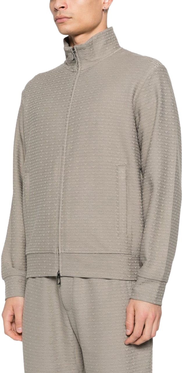 Emporio Armani Sweaters Dove Grey Grijs