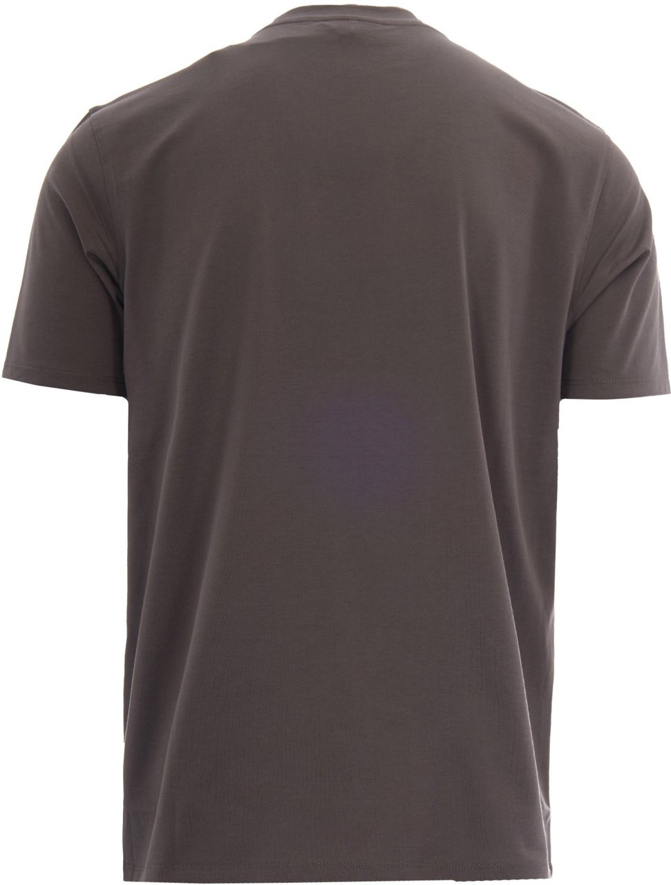 Emporio Armani T-Shirts And Polos U8143 - Eagle 12Cm Hd Print Di Taupe