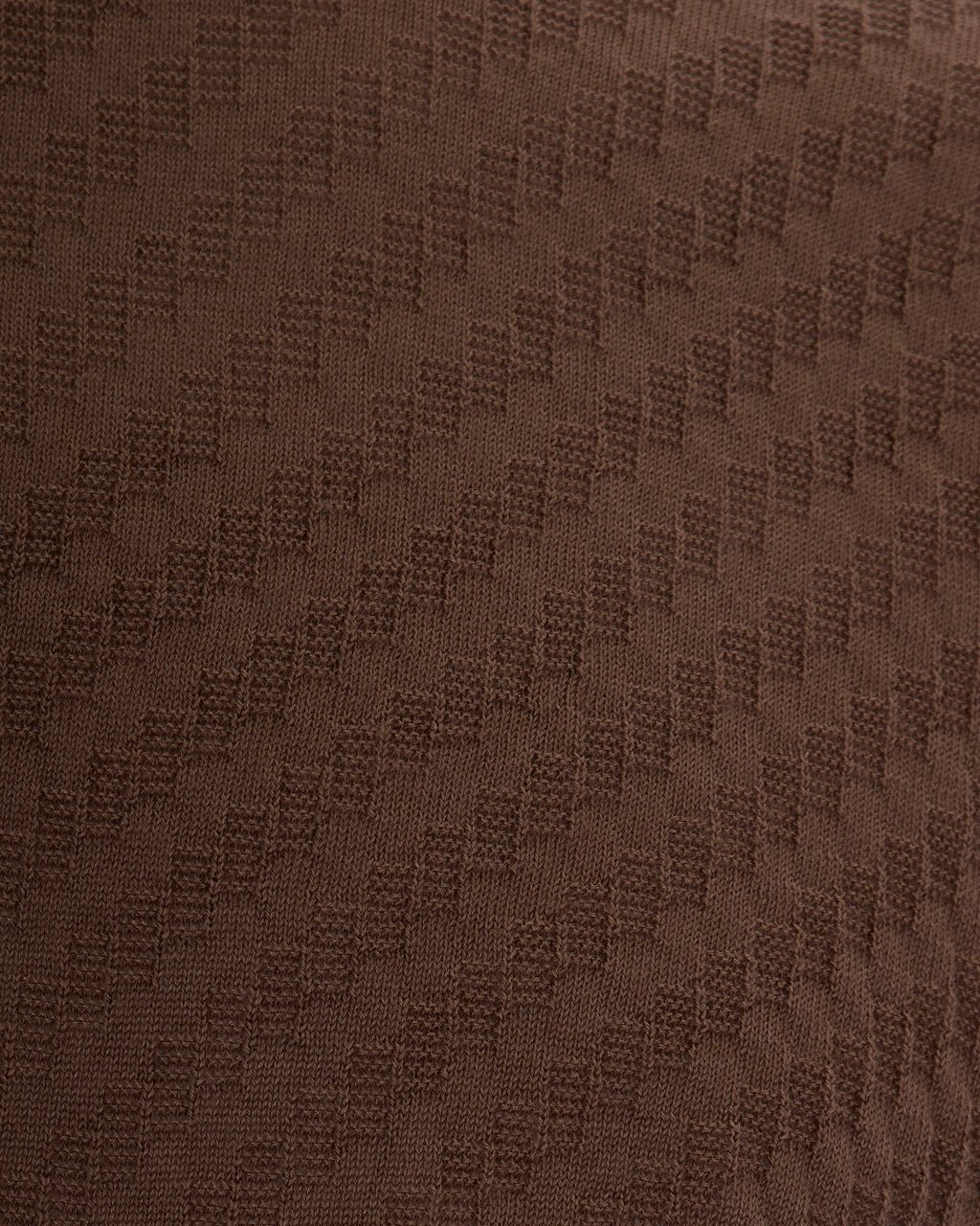 Emporio Armani T-Shirts And Polos Brown Lentil Bruin