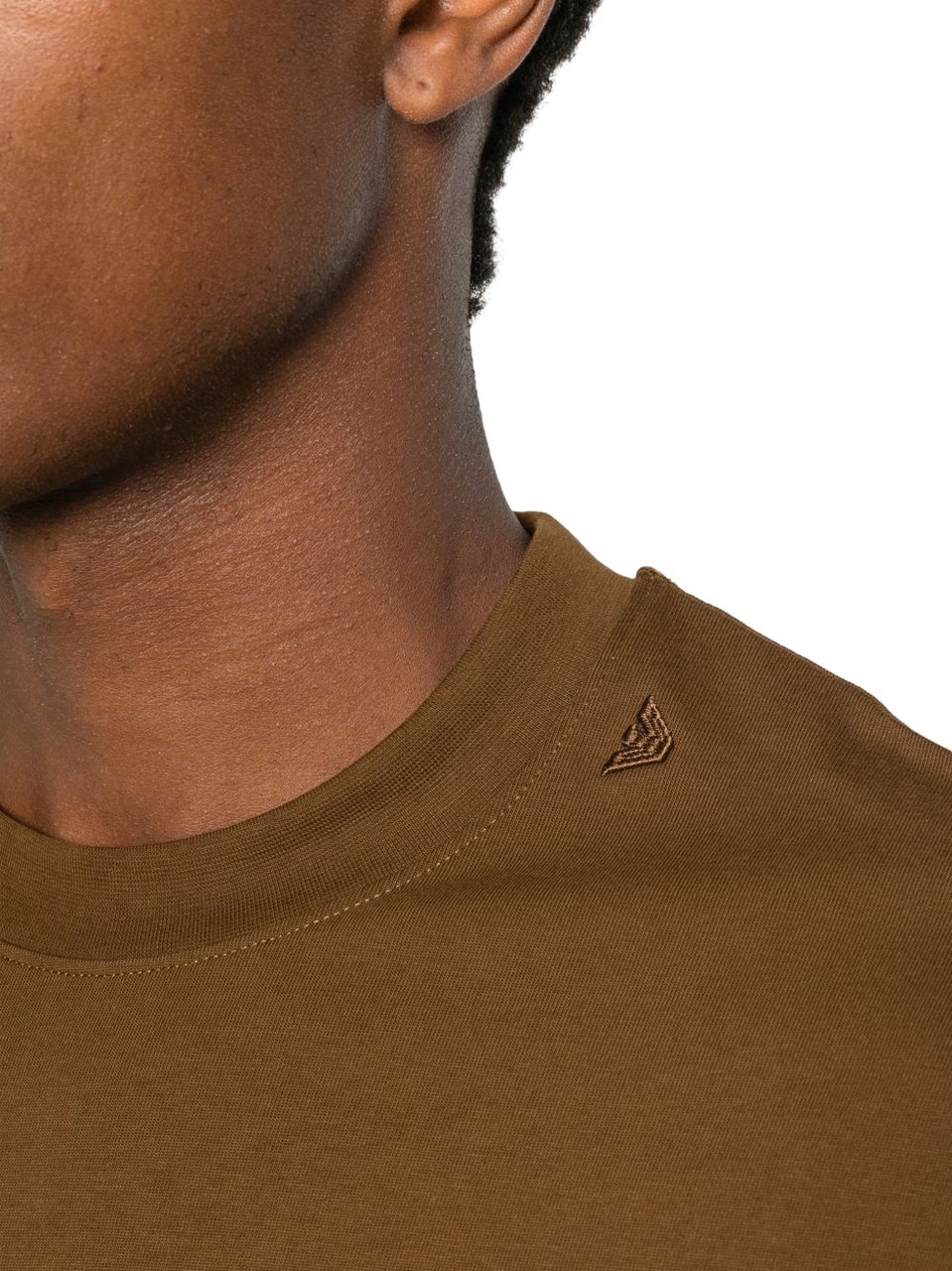 Emporio Armani T-Shirts And Polos Brown Bruin