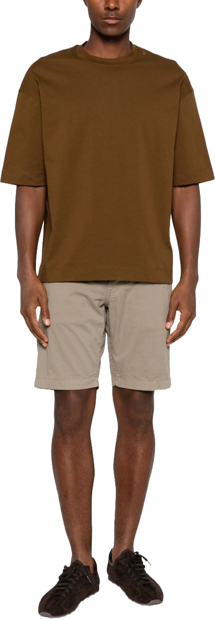 Emporio Armani T-Shirts And Polos Brown Bruin
