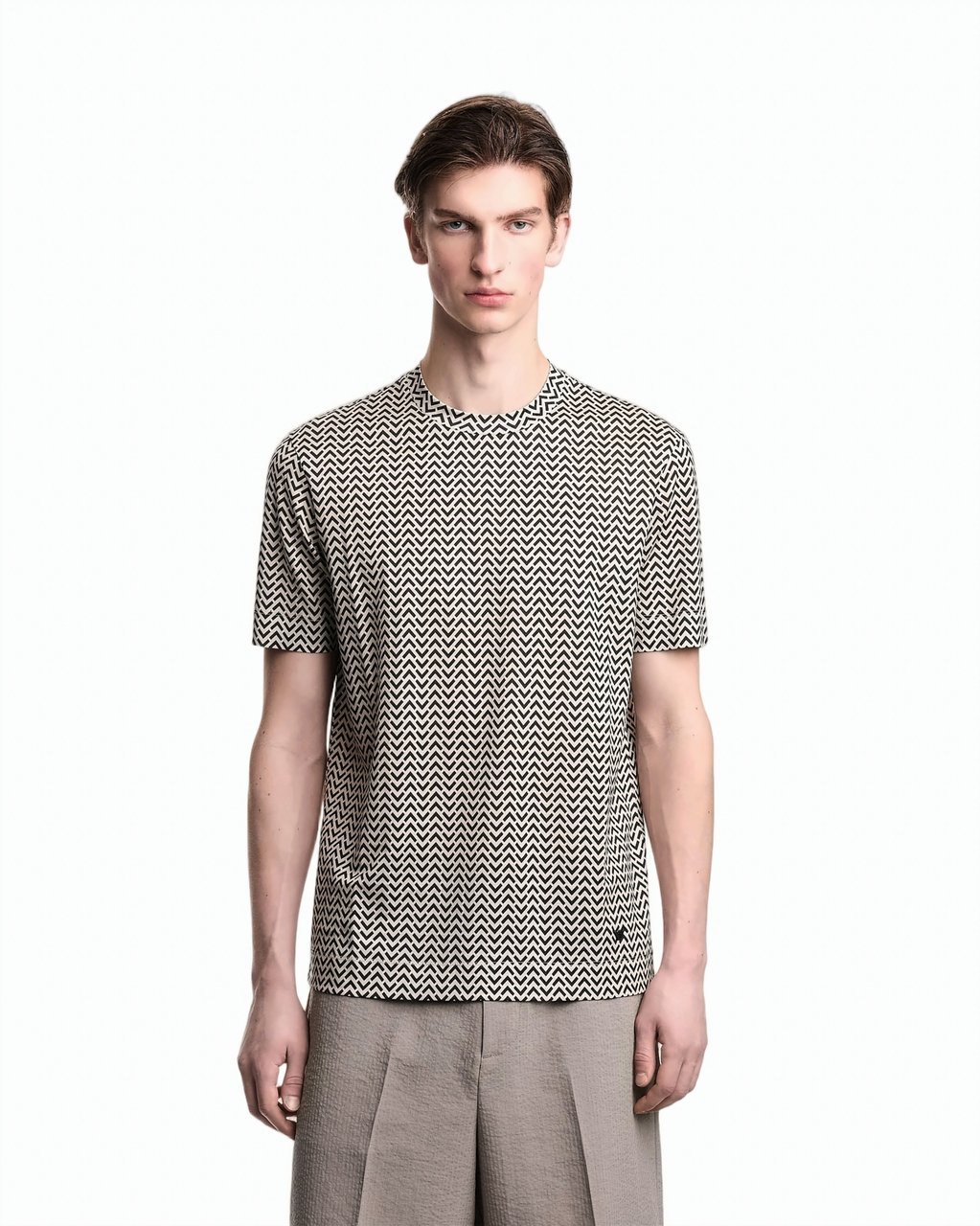 Emporio Armani Lyocell Blend Jersey Print T Shirt Grijs