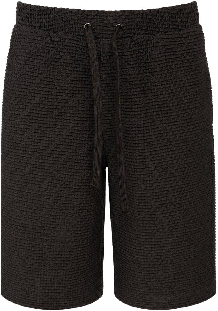 Emporio Armani Shorts Brown Bruin