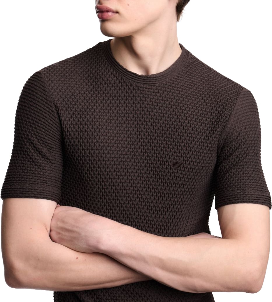 Emporio Armani T-Shirts And Polos Brown Bruin