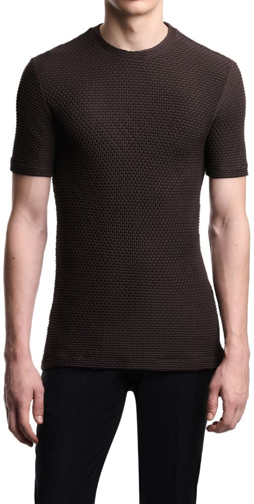 Emporio Armani T-Shirts And Polos Brown Bruin