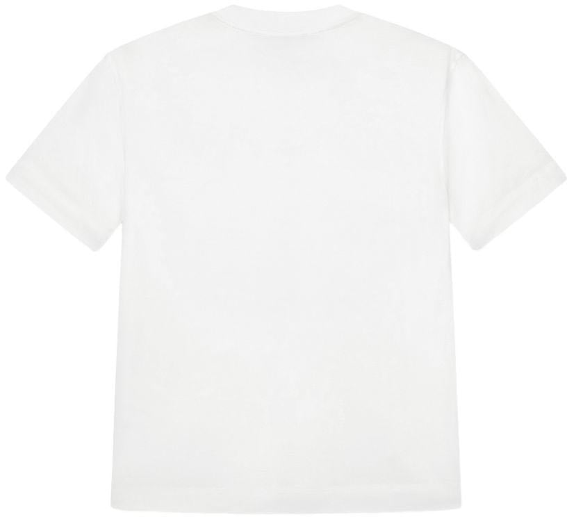 Emporio Armani T-Shirts And Polos White Wit