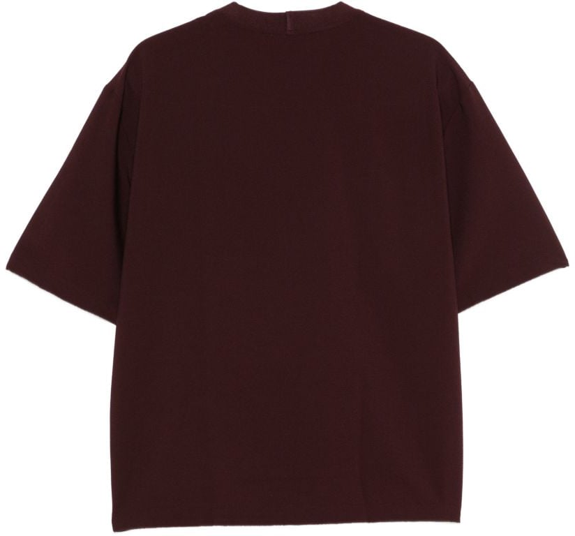 Emporio Armani T-Shirts And Polos Brown Bruin