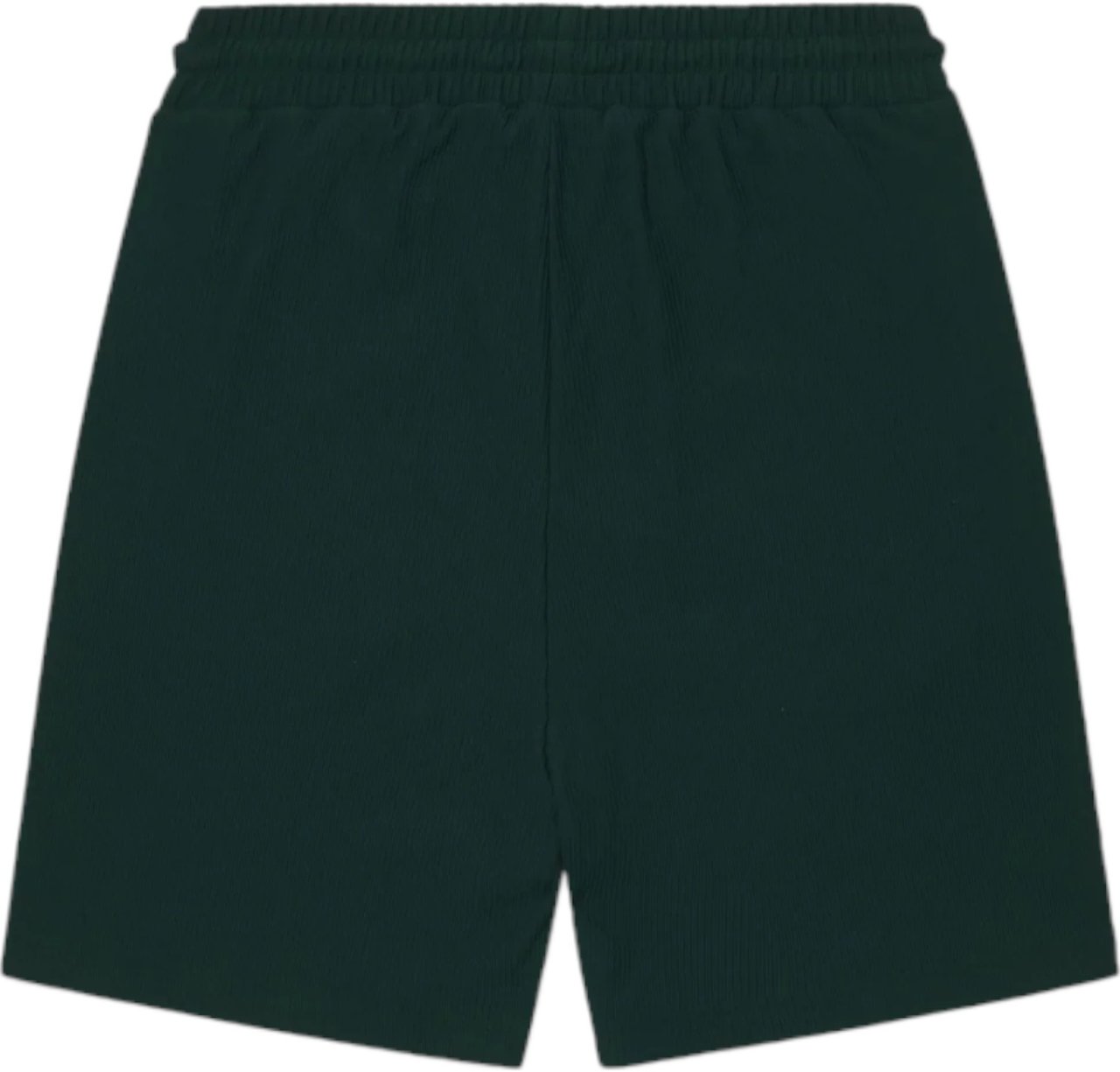 Equalité Heren Korte Broek Groen