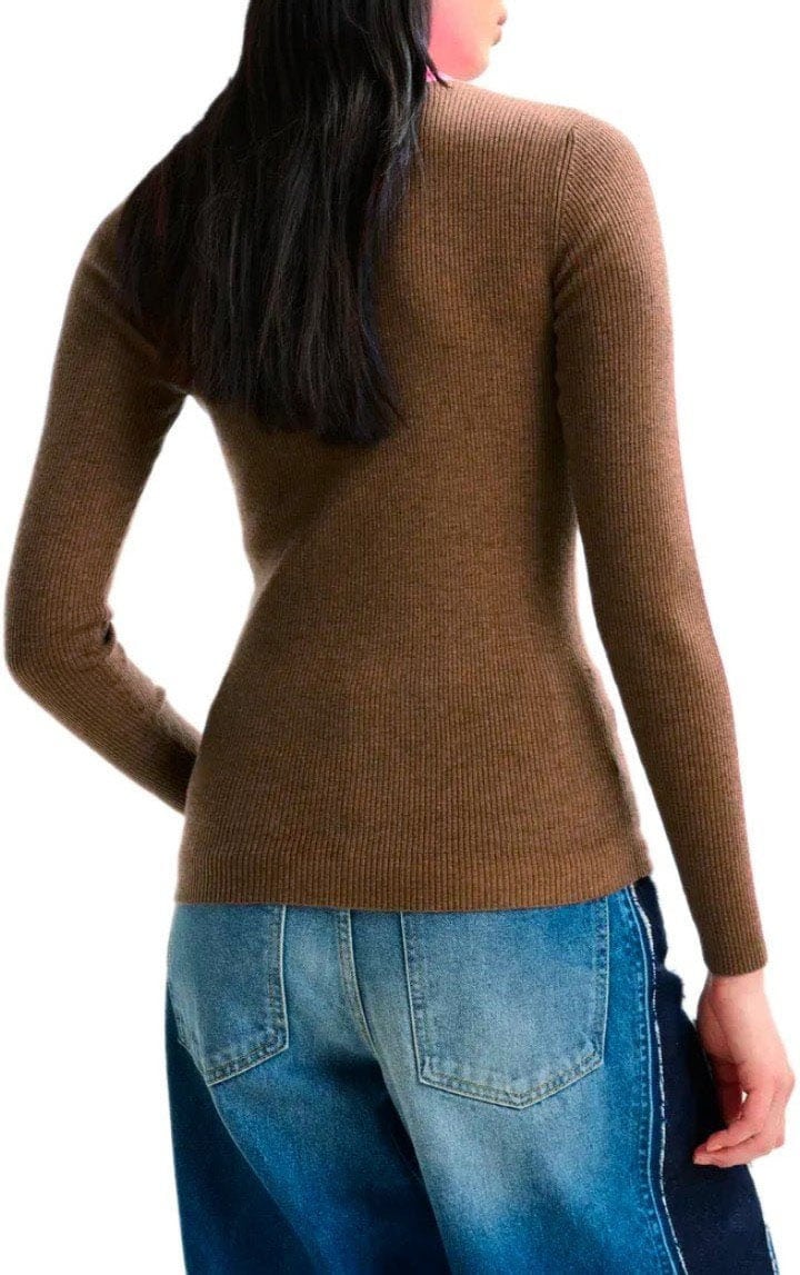 Essentiel Antwerp ESSENTIEL ANTWERP IFFORT BICOLOR TURTLENECK SWEATER Bruin