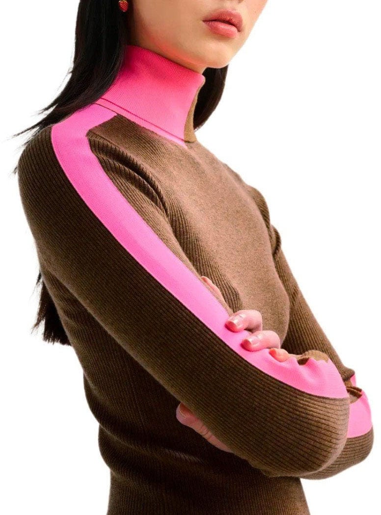 Essentiel Antwerp ESSENTIEL ANTWERP IFFORT BICOLOR TURTLENECK SWEATER Bruin