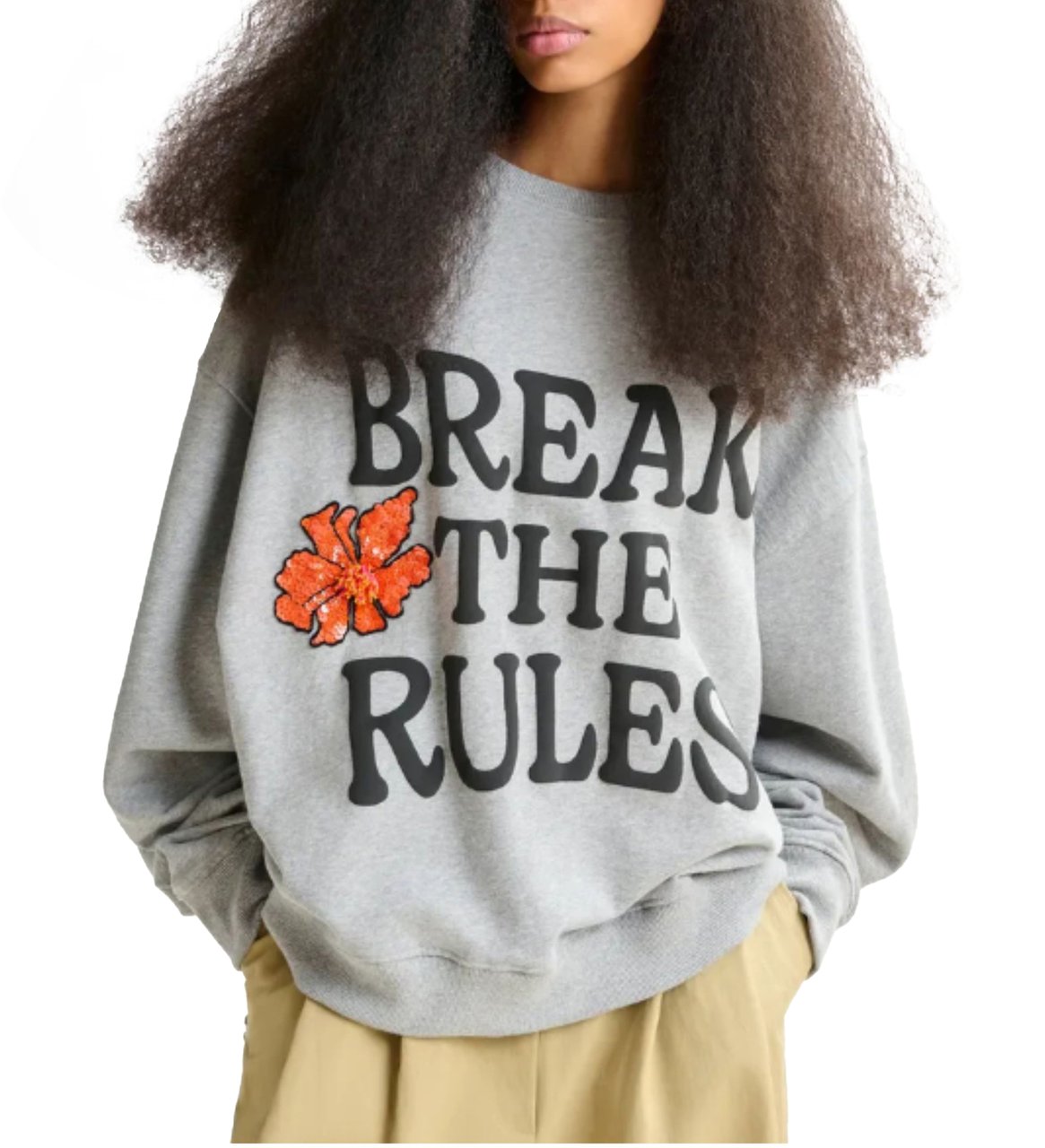 Essentiel Antwerp Essentiel Antwerp - Sweaters Lichtgrijs Ixperience Grijs